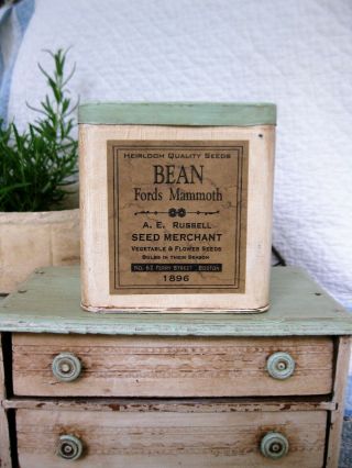 Early Antique Pantry Tin White And Green Paint Bean Seed Label