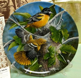 Knowles “the Baltimore Oriole” By Kevin Daniel Limited Edition Collectors Plate