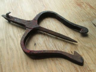 Antique 18th Or Early 19th C - Hand Wrought Iron - Fish Or Eel Gig Old Patina