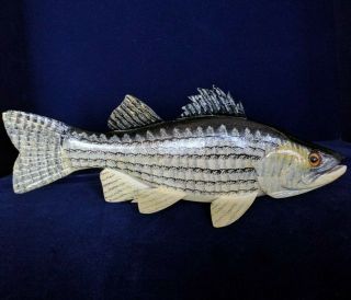 Carl Christiansen White Bass/silver Bass Fish Decoy Lure Folk Art Wood Carving