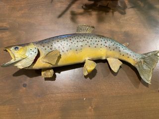 Vintage Brown Trout Real Skin Taxidermy Fish Wall Mount 18” Idaho