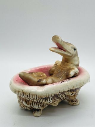 Vintage Ceramic Florida Alligator In Shell Bathtub Souvenir Ashtray 5 1/2” Long
