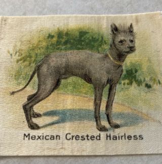 Antique 1910 Old Mill Cigarettes Tobacco Silk Card Mexican Created Hairless Rare