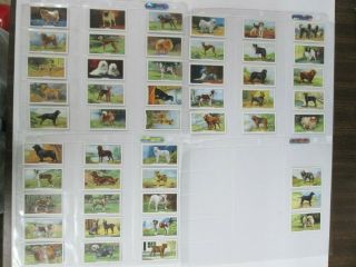 1938,  Cigarette Cards,  Gallaher Tobacco,  Dog Trading Cards,  Complete 2nd Series,