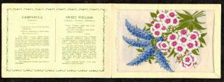 1934 Wix Kensitas Postcard Size Tobacco Card Silk Flower Campanula Sweet William