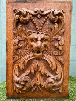 Stunning 19thc Wooden Oak Gothic Carved Panel With Lion Head & Other C1880s