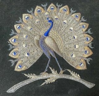 Vintage Antique Asian Metallic Embroidered Peacock on Black Velveteen WW374 2