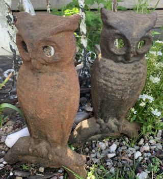 Pair Antique Cast Iron Owls Andirons Fireplace
