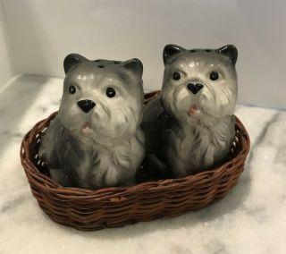 Vintage Shih Tzu Dogs In Basket Salt And Pepper Shakers Set