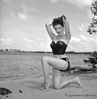 1954 Bunny Yeager Pin - Up Camera Negative Photograph Gorgeous Yvonne Fredricks Nr