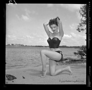 1954 Bunny Yeager Pin - up Camera Negative Photograph Gorgeous Yvonne Fredricks NR 2