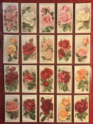 1912 W.  D.  & H.  O.  Wills - Roses - Complete 50 Card Set - 111 Year Old Set - Very Good - Wow