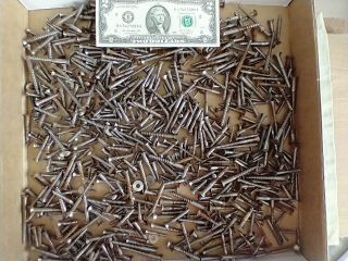 6 Pound Assortment [hundreds] Of Antique Flat Head Slotted Wood Screws Pre 1900