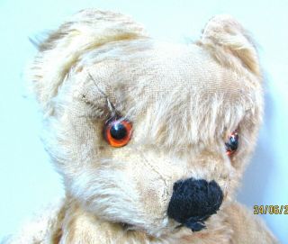 Large Vintage Honey Mohair Teddy Bear Glass Eyes Fully Articulated 23 Inch