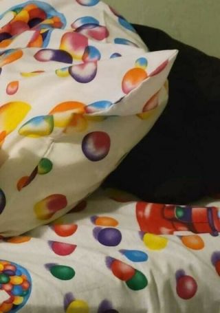 Vintage 1987 Lisa Frank Twin Top Sheet And Pillow Case