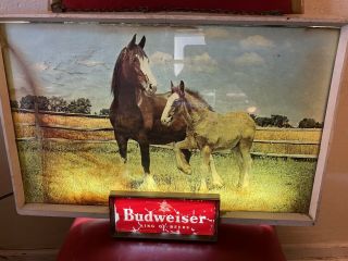 Rare Vintage Budweiser Clydesdale Horse Mare And Foal Lighted Beer Sign