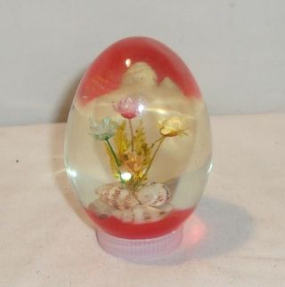 Vintage Lucite And Red Egg With Dried Flowers & Shells