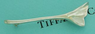 Vintage Tiffany & Co Sterling Silver 2.  5 " Ginkgo Leaf Pin Brooch