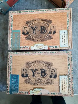 Vintage Y - B Yokum Brothers Cigar Boxes 2
