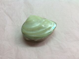 Small 2 3/4 " Vintage Silver Shell Shaped Trinket Box W/a Real Shell&hinged Lid