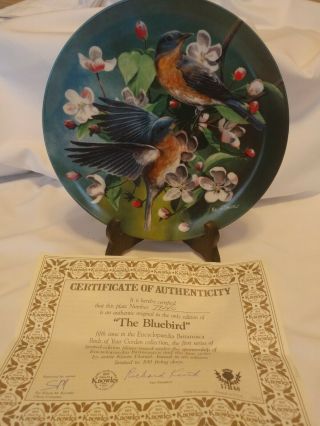 Encyclopedia Britannica Birds Of Your Garden " Bluebird " Plate By Kevin Daniel
