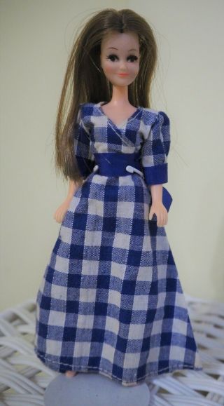 Vintage Palitoy Pippa Rosemary Doll,  1970s,  With Blue Check Dress,  Like Dawn