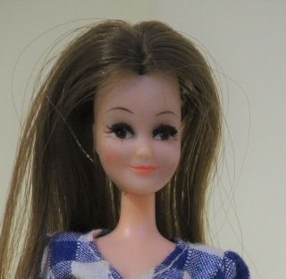 Vintage Palitoy Pippa Rosemary Doll,  1970s,  with blue check dress,  like Dawn 2