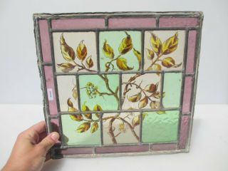 Victorian Stained Glass Window Panel Antique Old Hand Painted Tree Leaf 13x12.  5 "