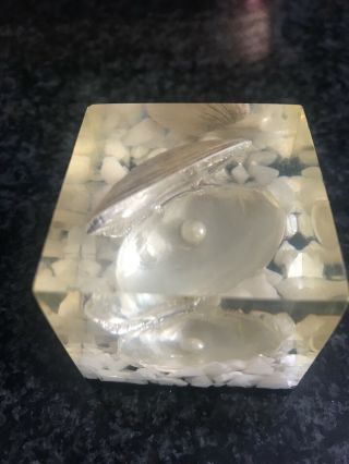 Vintage Clam With Pearl Encased Lucite Resin Paperweight