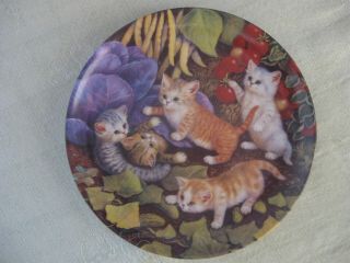 Bradford Cat Plate From Germany 1996 Kittens In Veggie Garden,  Bradex 22 - K2 - 3.  3