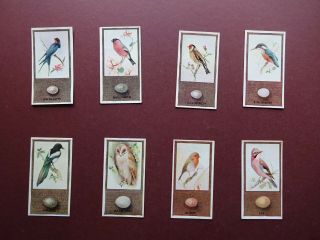 British Birds & Their Eggs Issued 1936 By G.  Phillips Set 50