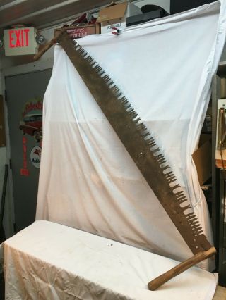 Vintage 2 Man Crosscut Logging Saw 65in Blade With Wood Handle