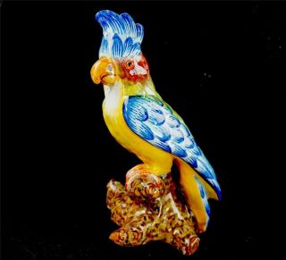 Vintage French Or Dutch Faience Pottery Parrot Cockatoo Glass Eyes