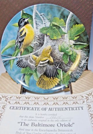 Knowles “the Baltimore Oriole” By Kevin Daniel Limited Edition Collectors Plate