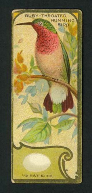 Ruby - Throated Humming Bird 1920 V120 Canadian Chewing Gum Accurate Bird Studies