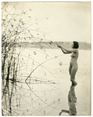 Lovely Art Deco Nature Nude 1910s Nelson Evans Drigo Dblwt Vintage Photograph