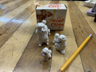 3 Vintage Miniature Poodles Bone China Dogs Artmark Box