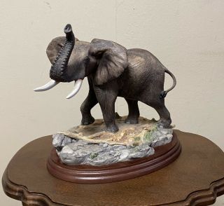 A Limited Edition Elephant Border Fine Arts Model 