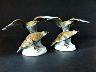 Carl Scheidig Kronenadler Porcelain Hawks Bird Figurines - Set Of 2 - Vintage