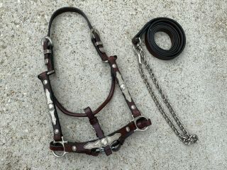 Vintage Silver Yearling Western Show Horse Halter W Lead