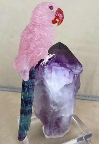 Rose Quartz And Fluorite Macaw On Amethyst 6 3/4  - Peter Muller