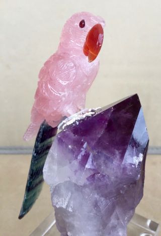 Rose Quartz and Fluorite Macaw on Amethyst 6 3/4  - Peter Muller 3