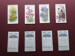 Alpine Flowers Issued 1913 By Wills Set 50