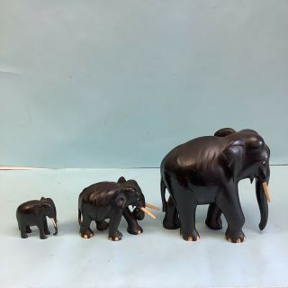 Hand Carved Herd of Three Elephants 2