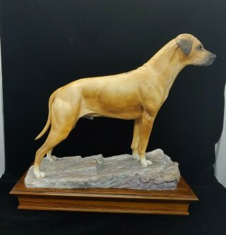 Rhodesian Ridgeback Dog Limited Edition Albany Fine China Uk Figurine 1970s