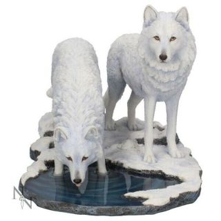 Warriors Of Winter White Wolf By Lisa Parker 35cm Statue Figurine