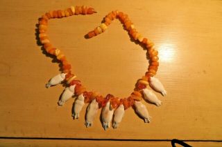 Alaskan Seal Necklace Of 9 Carved Fossil Walrus Teeth,  Amber Beads