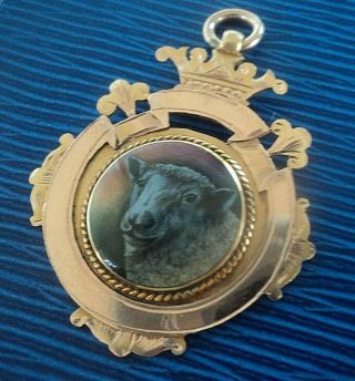 9ct Gold & Enamel Ram / Sheep Fob Medal / Pendant - Thomas Fattorini 1905