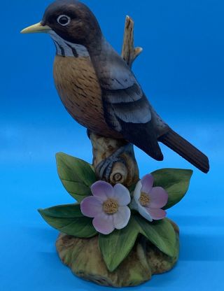 Robin By Andrea By Sadek Bird & Flower Figurine Porcelain Japan 9386