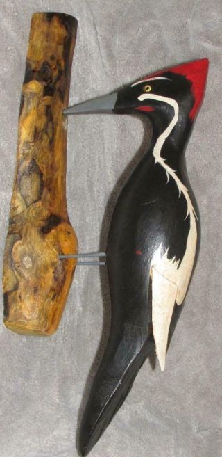 Ivory Billed Woodpecker Hand Carved 20 " Bird By Jim Slack Pekin Il Decoy Carver